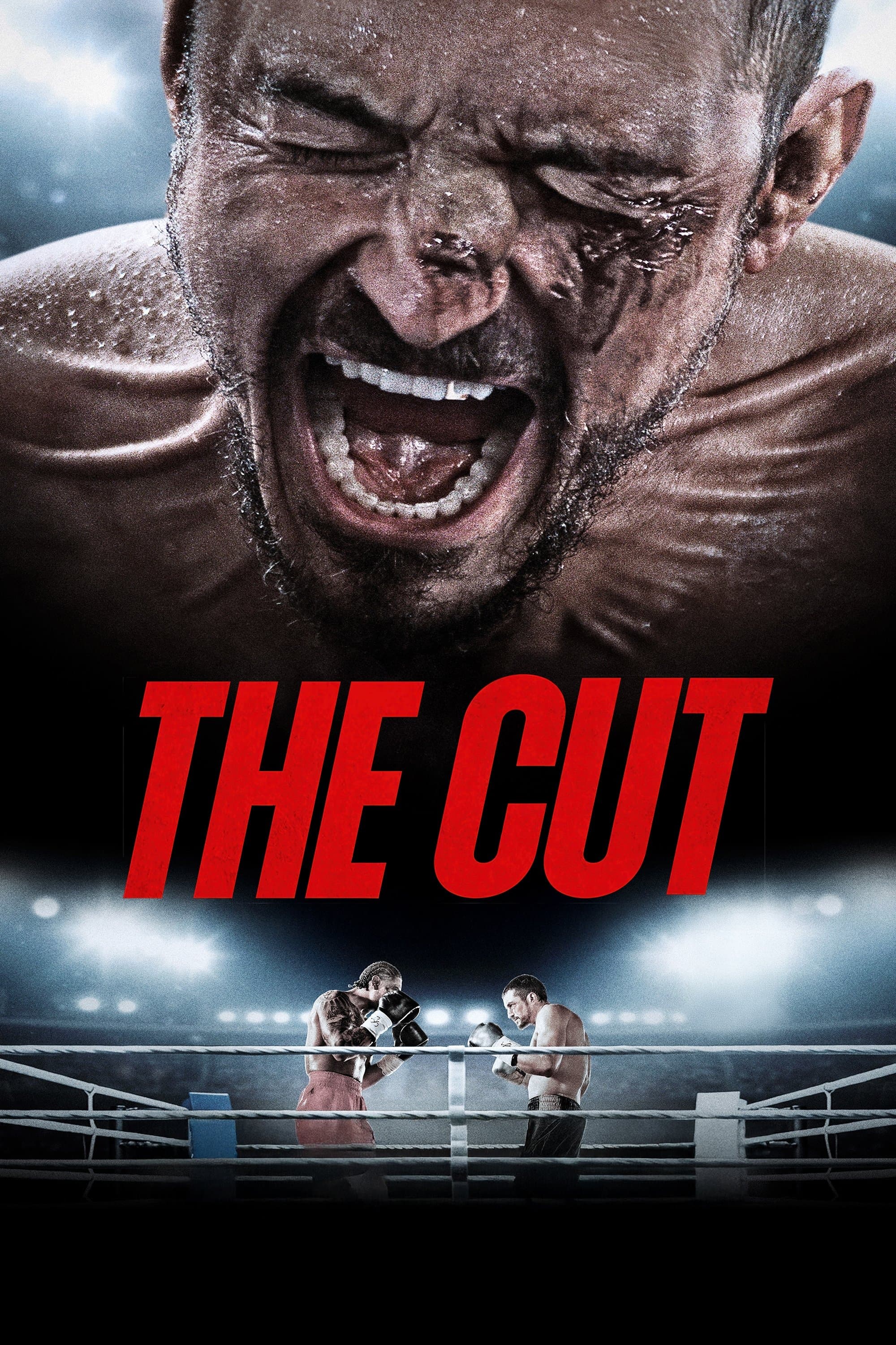 The Cut photo
