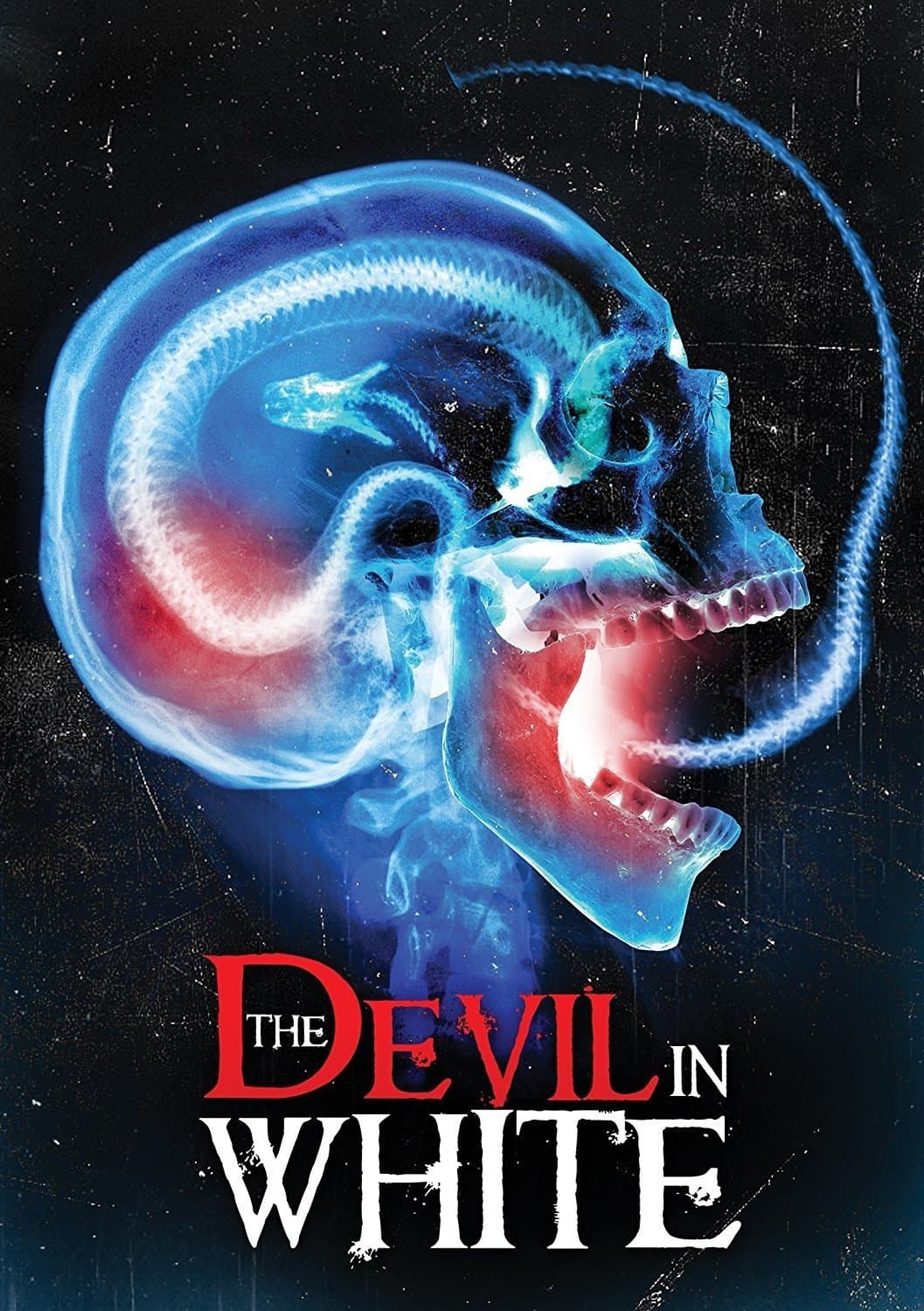 The Devil in White photo