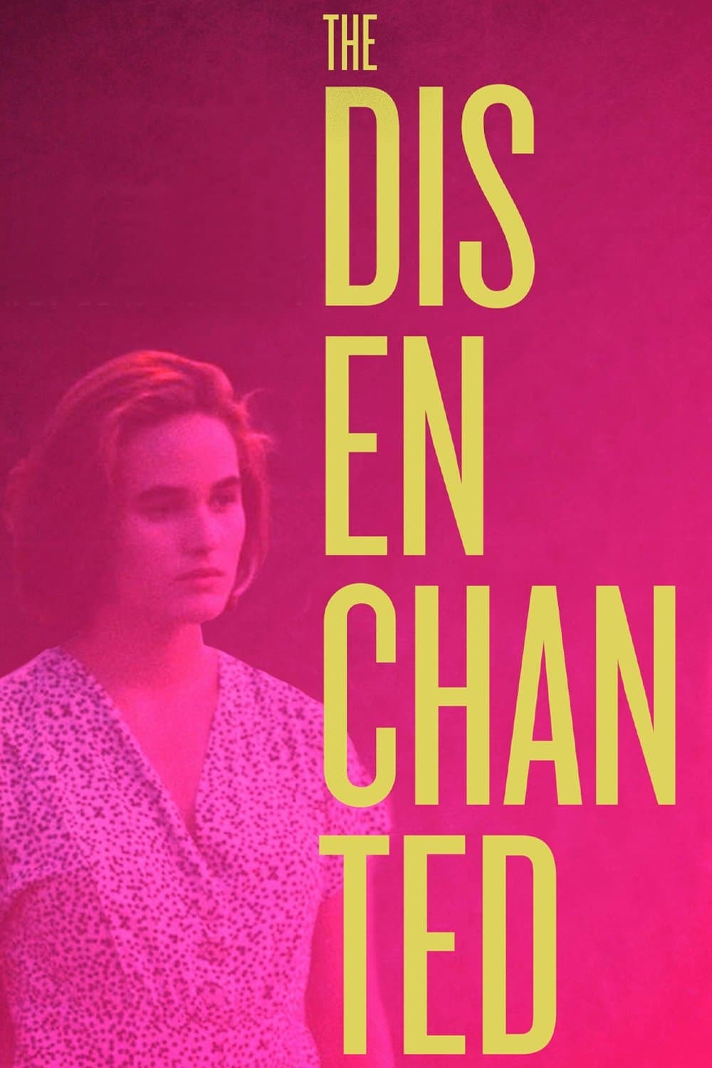 The Disenchanted photo