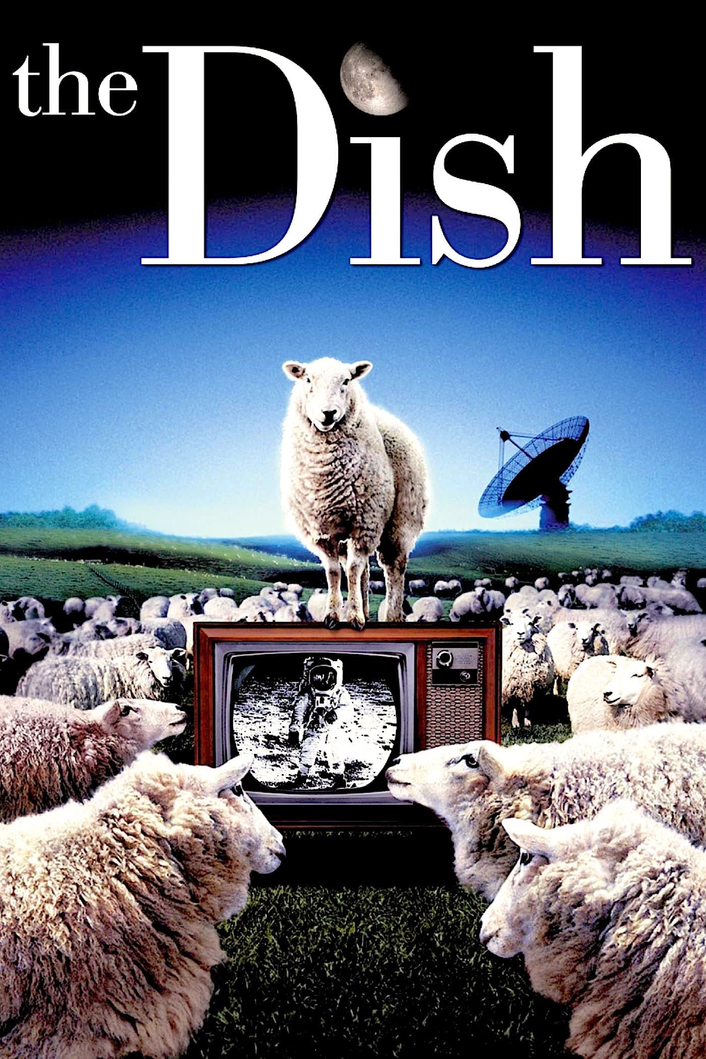 The Dish photo