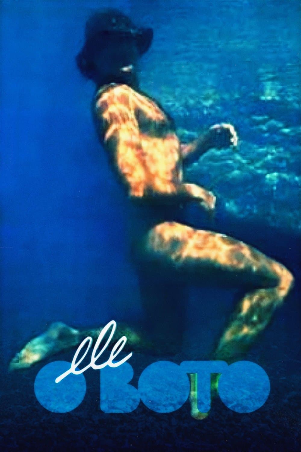 The Dolphin photo