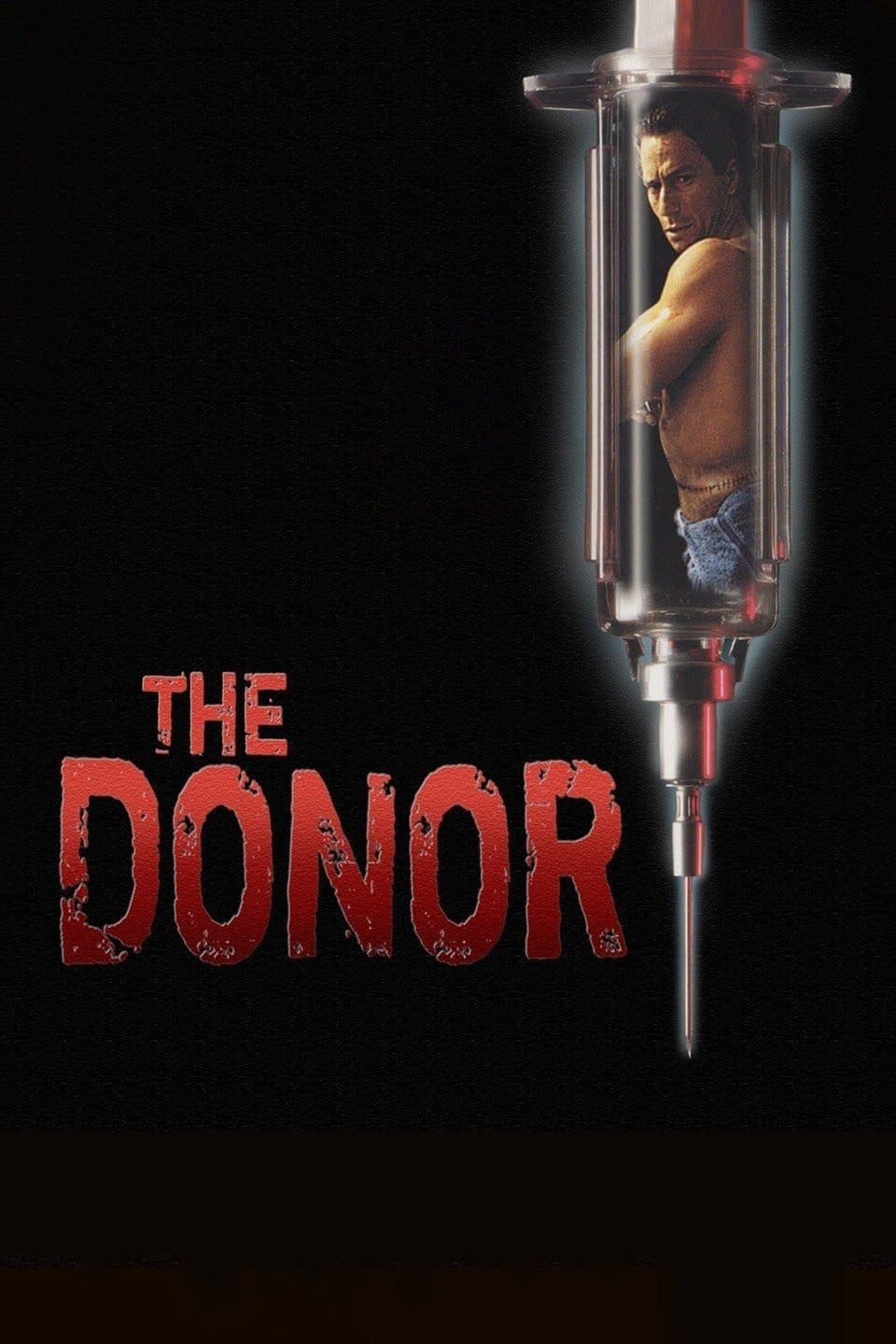 The Donor photo