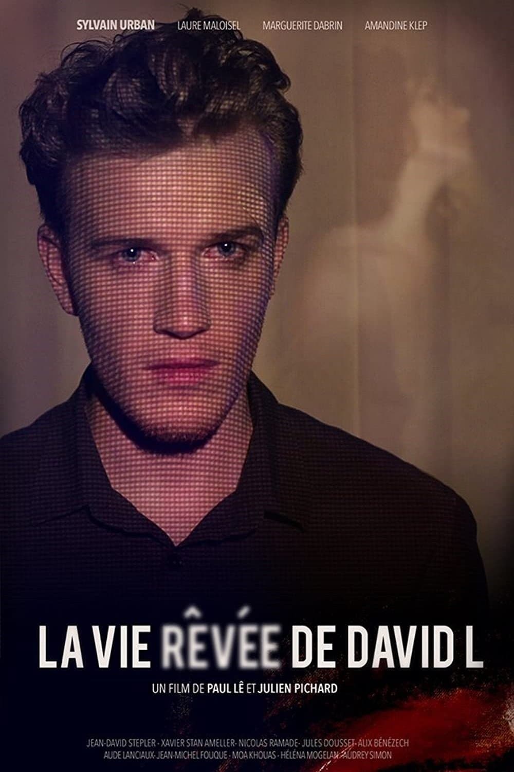 The Dreamlife of David L photo