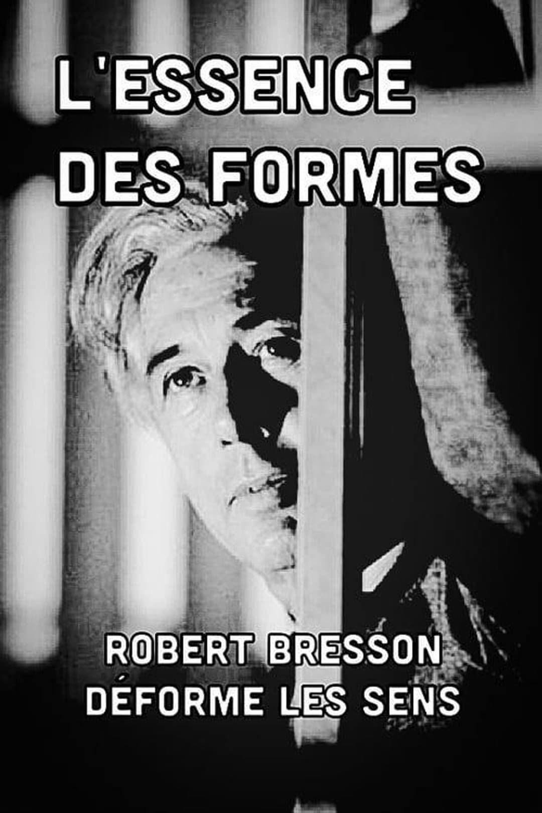 The Essence of Forms photo