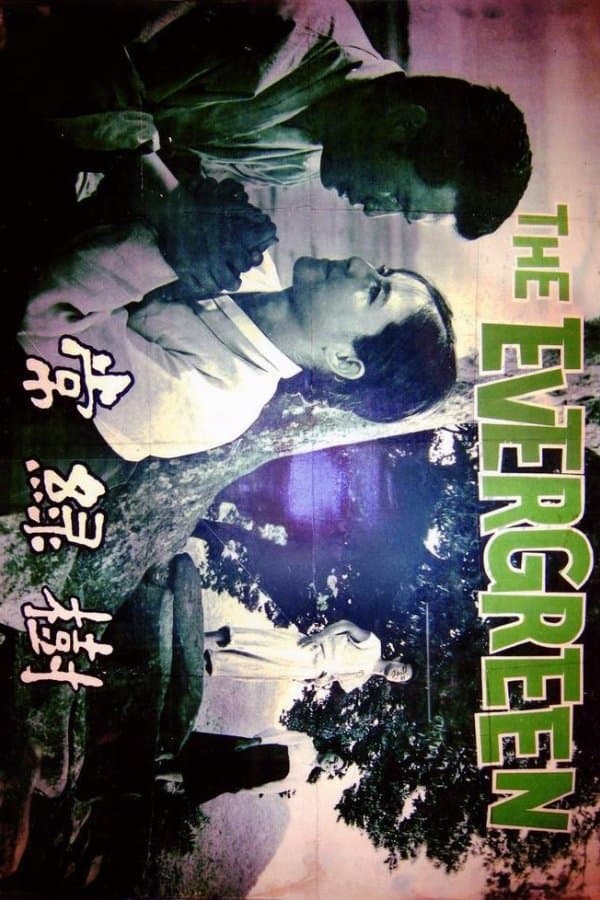 The Evergreen photo