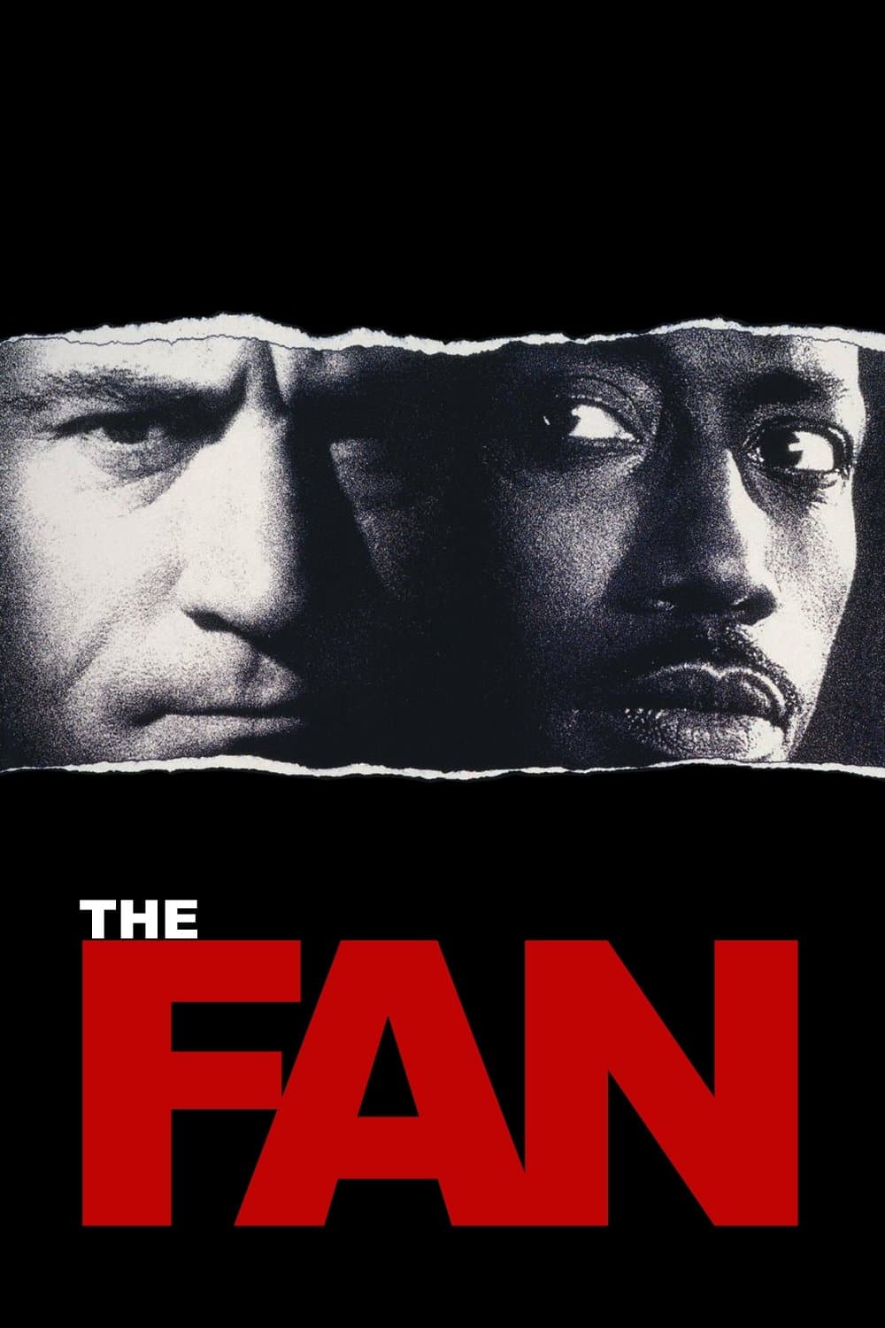 The Fan photo