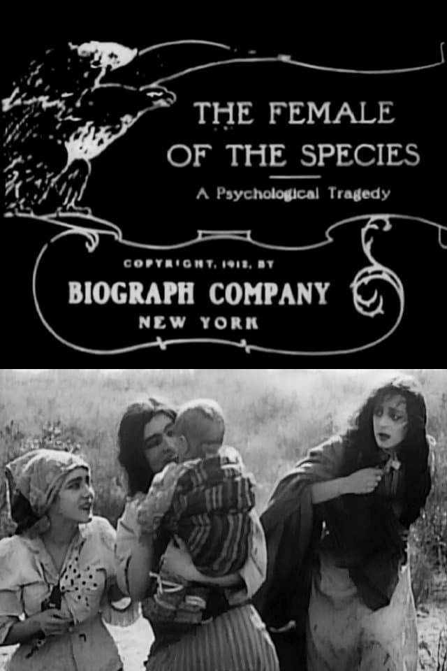 The Female of the Species photo