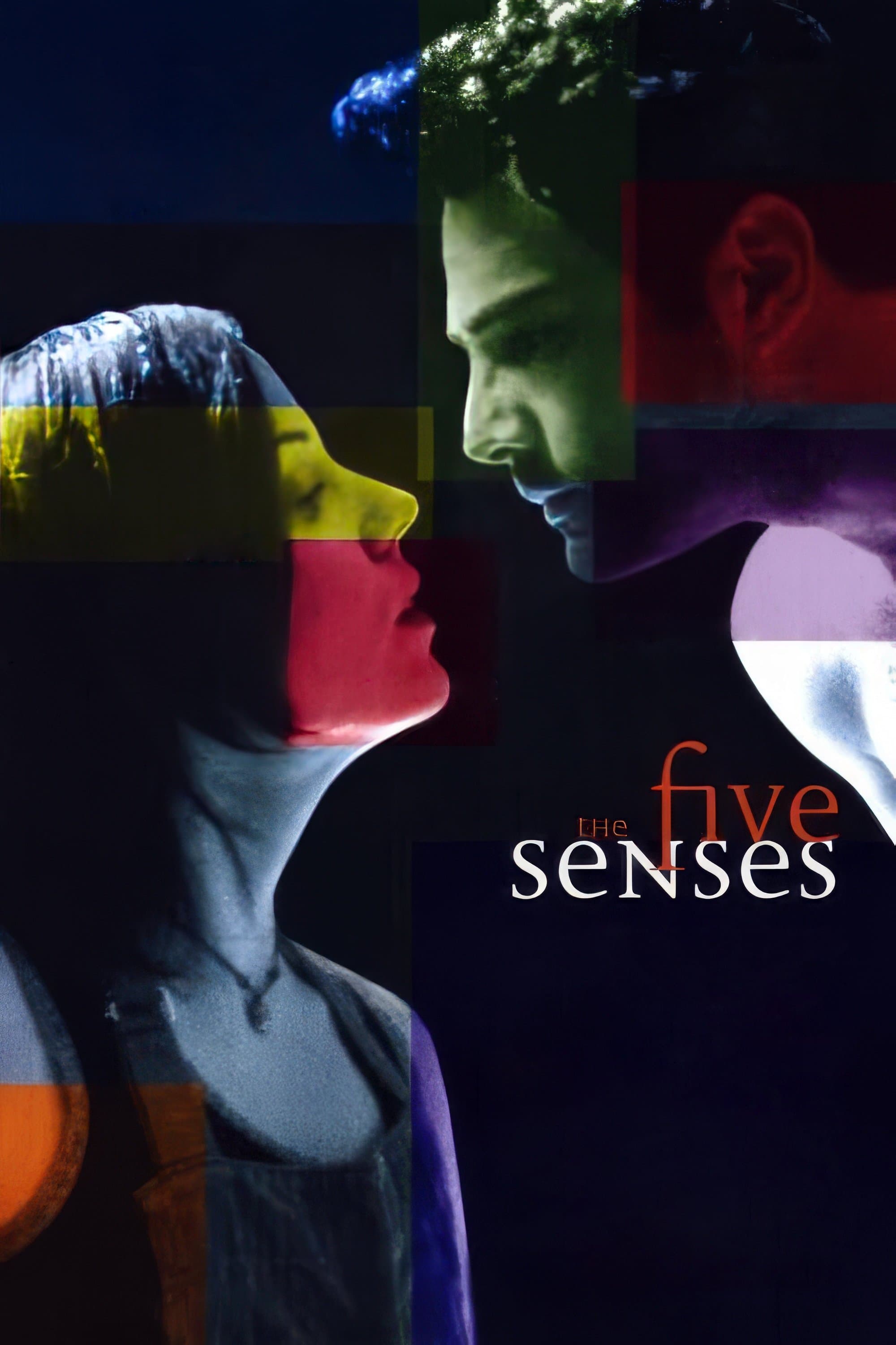 The Five Senses photo