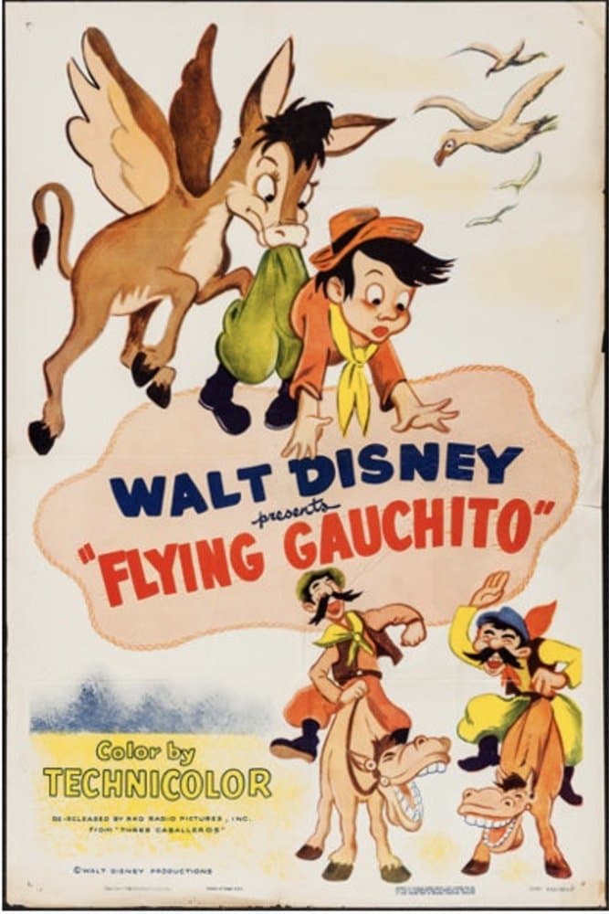 The Flying Gauchito photo
