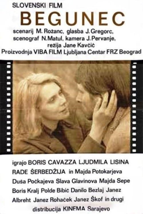 The Fugitive photo
