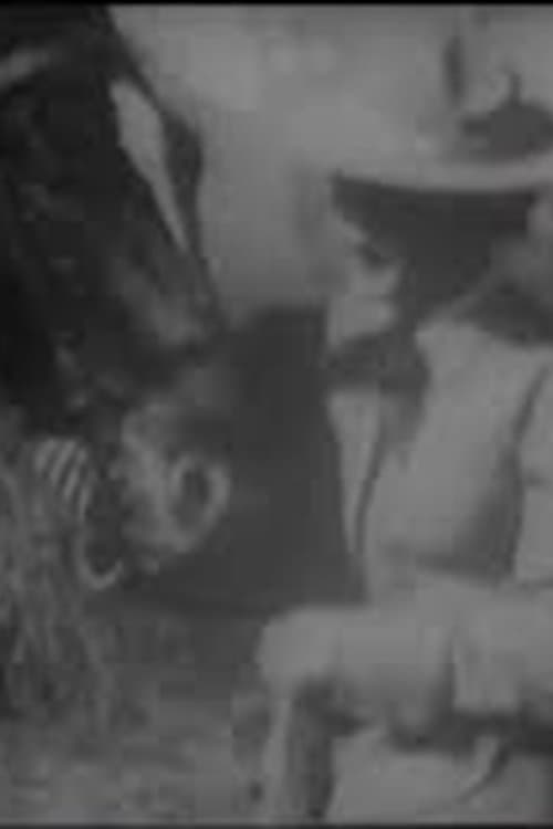 The Girl from Montana photo