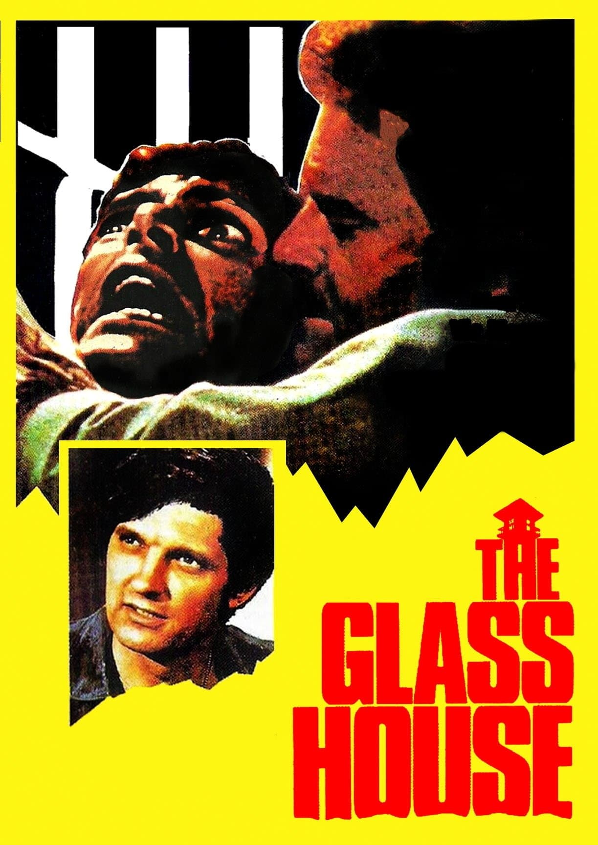 The Glass House photo
