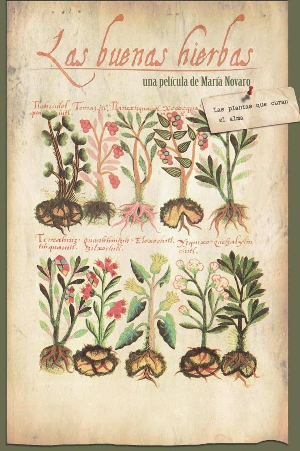 The Good Herbs photo