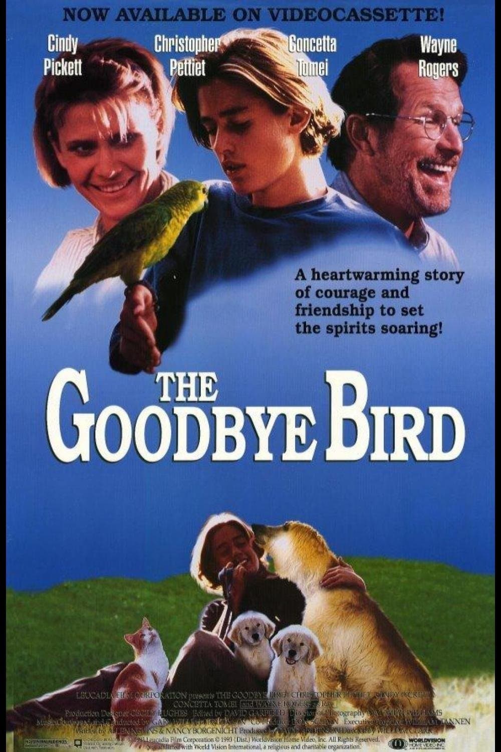 The Goodbye Bird photo