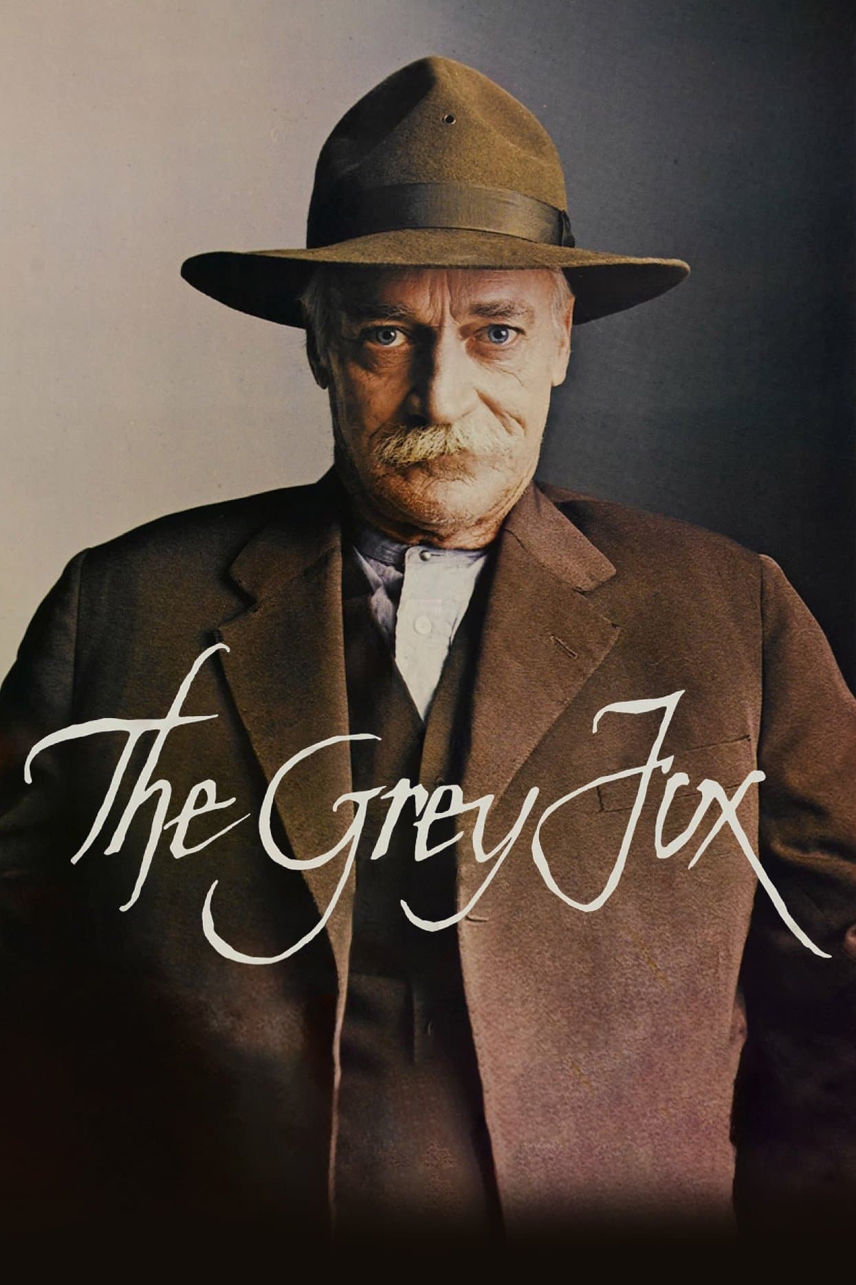 The Grey Fox photo