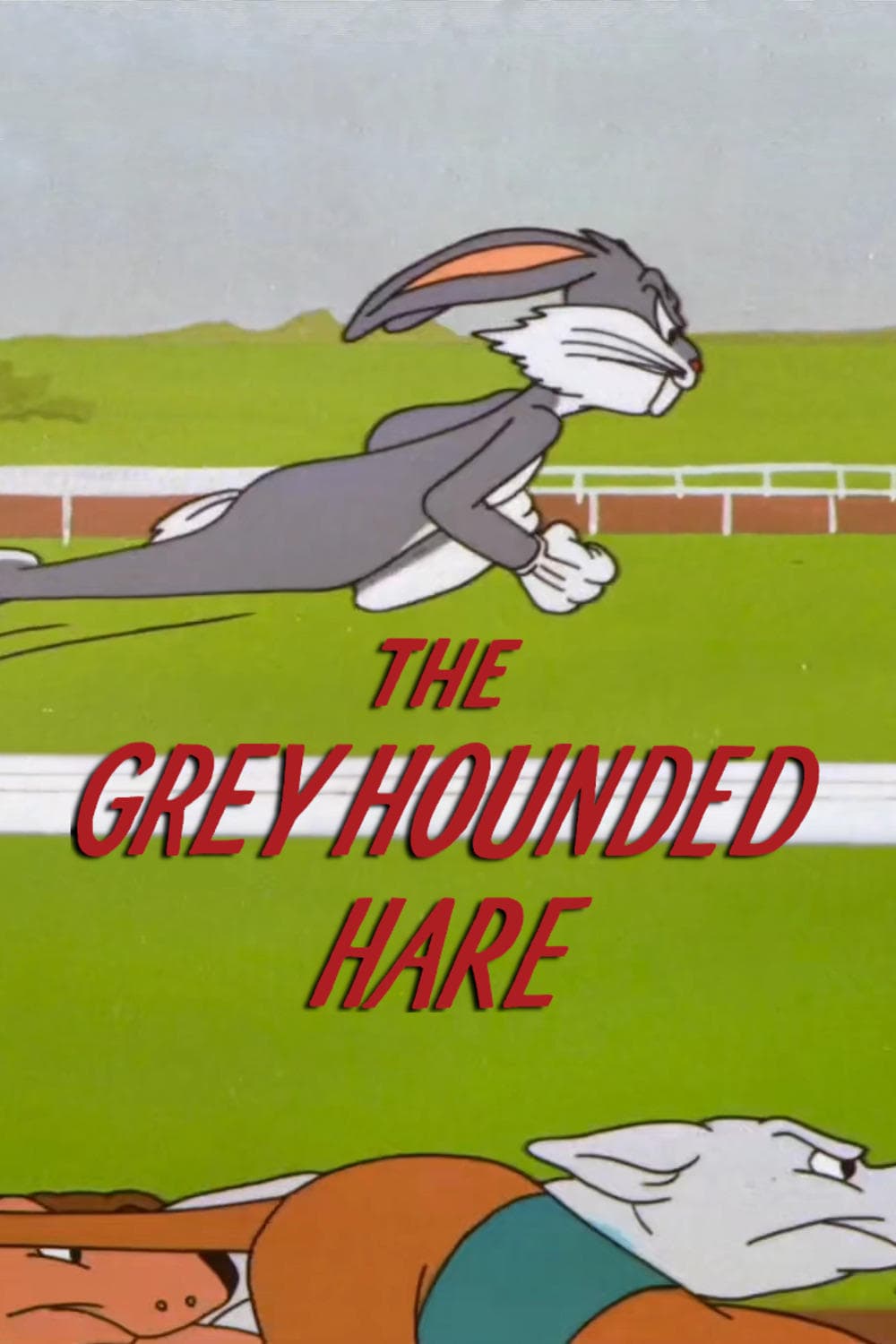 The Grey Hounded Hare photo