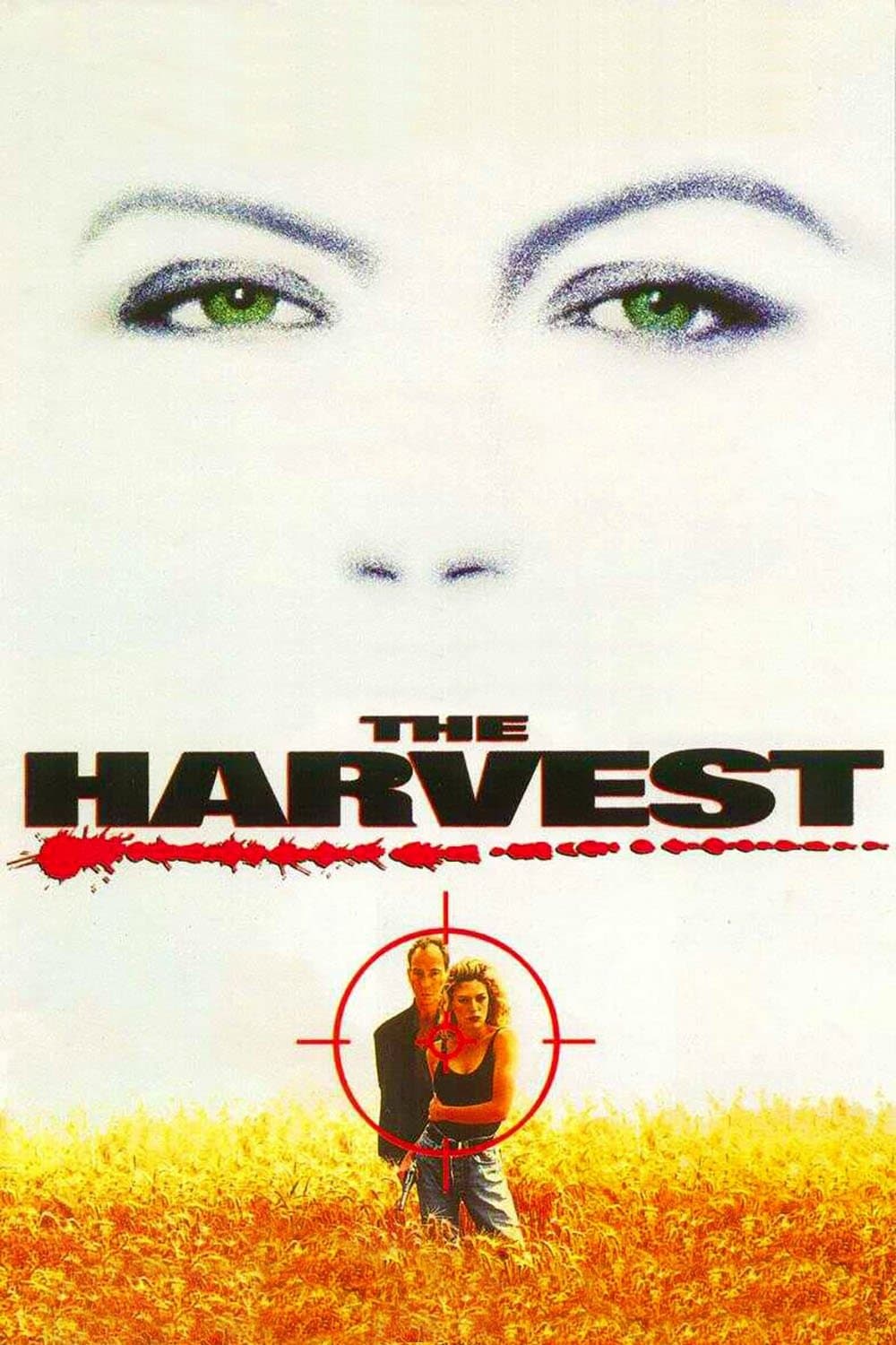 The Harvest photo