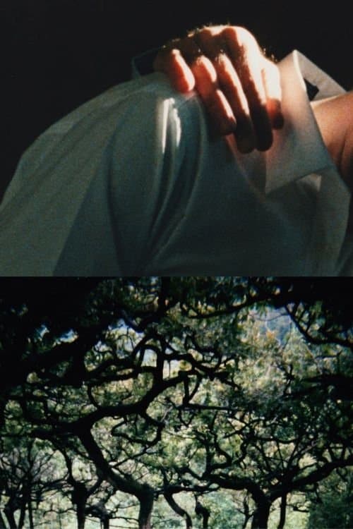 The Hedge Theater photo