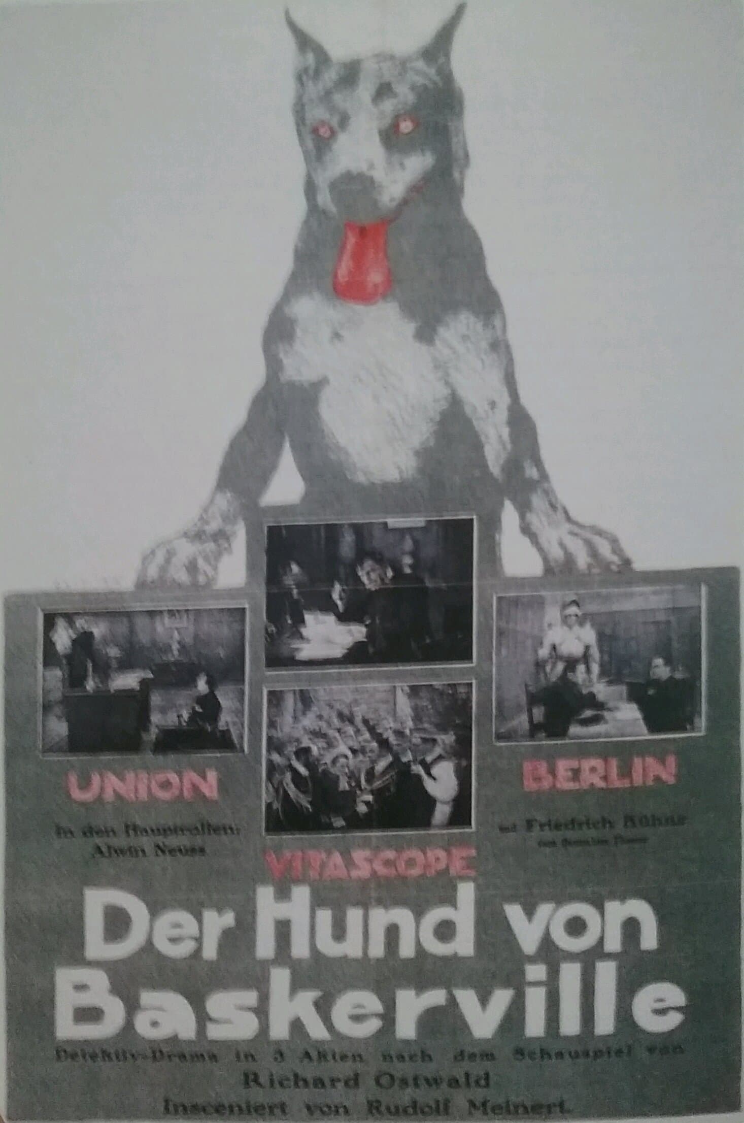The Hound of the Baskervilles photo