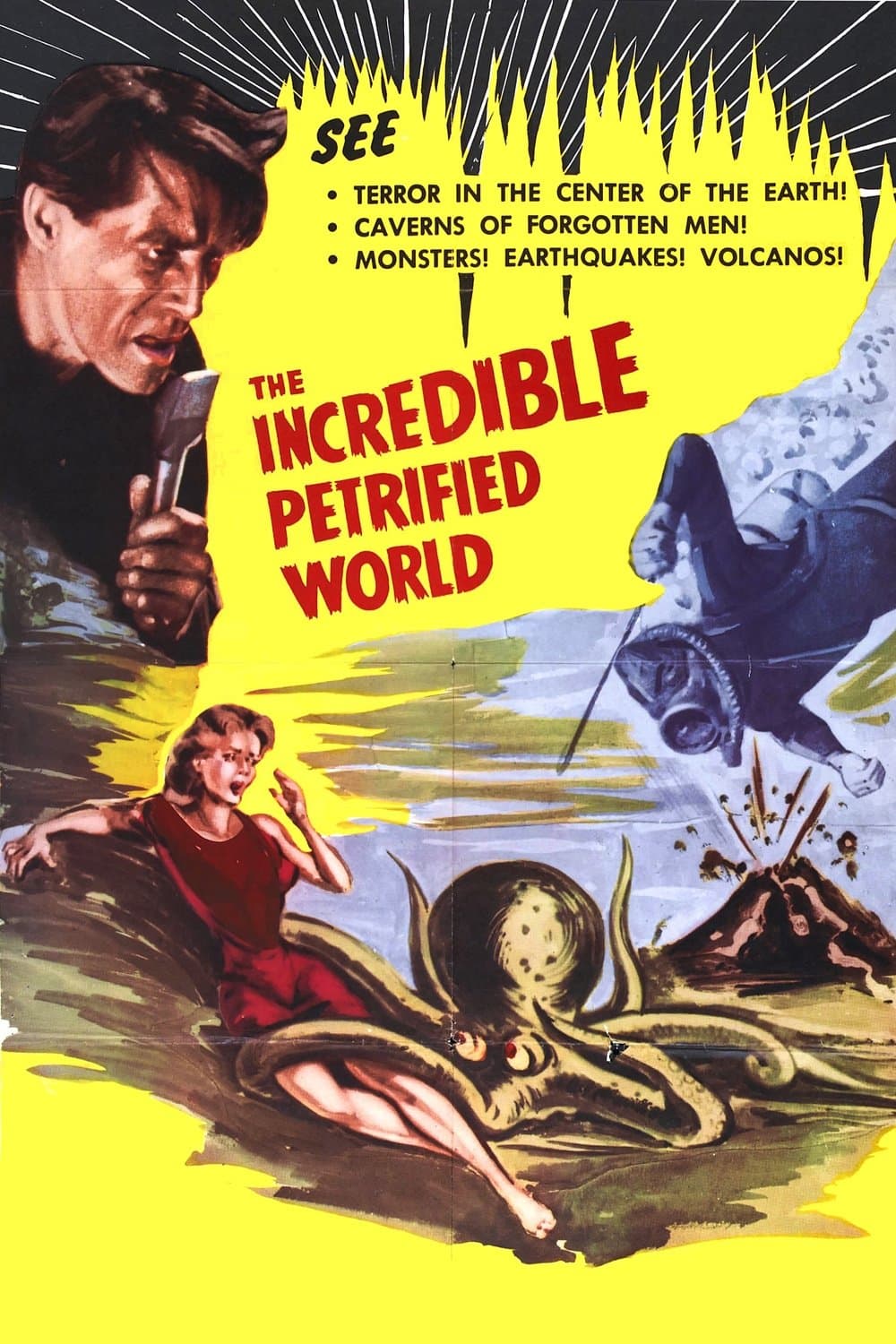 The Incredible Petrified World photo