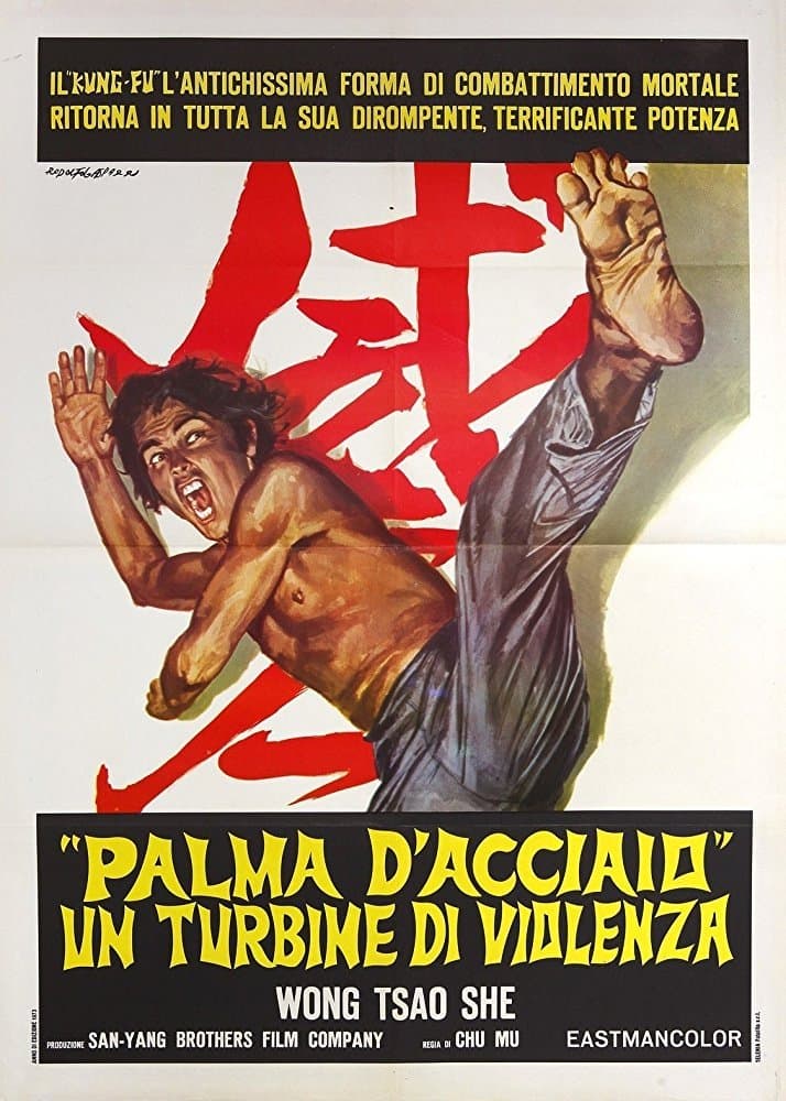 The Invincible Iron Palm photo