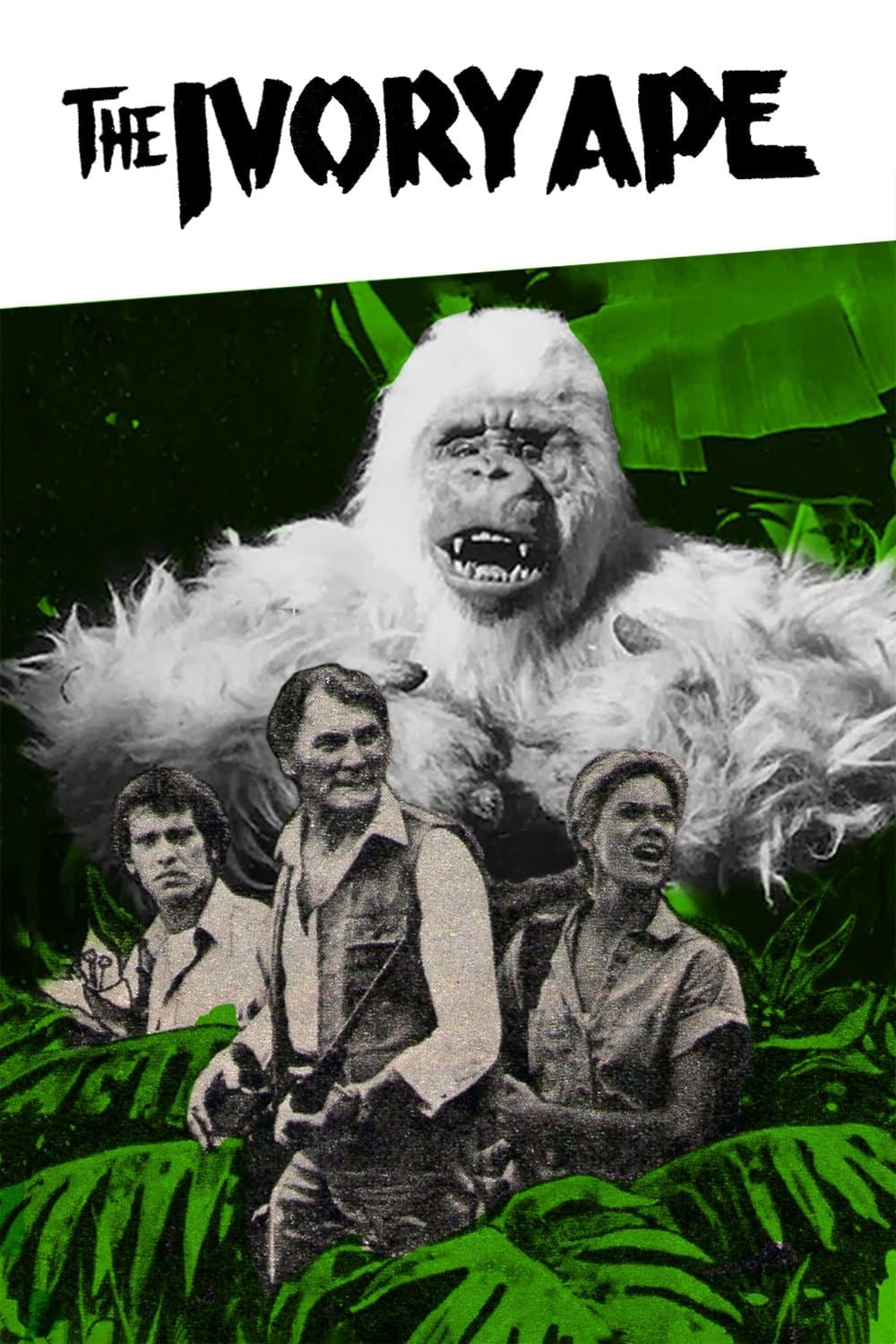 The Ivory Ape photo