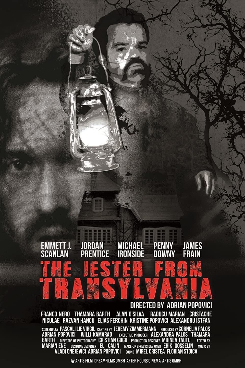 The Jester from Transylvania photo