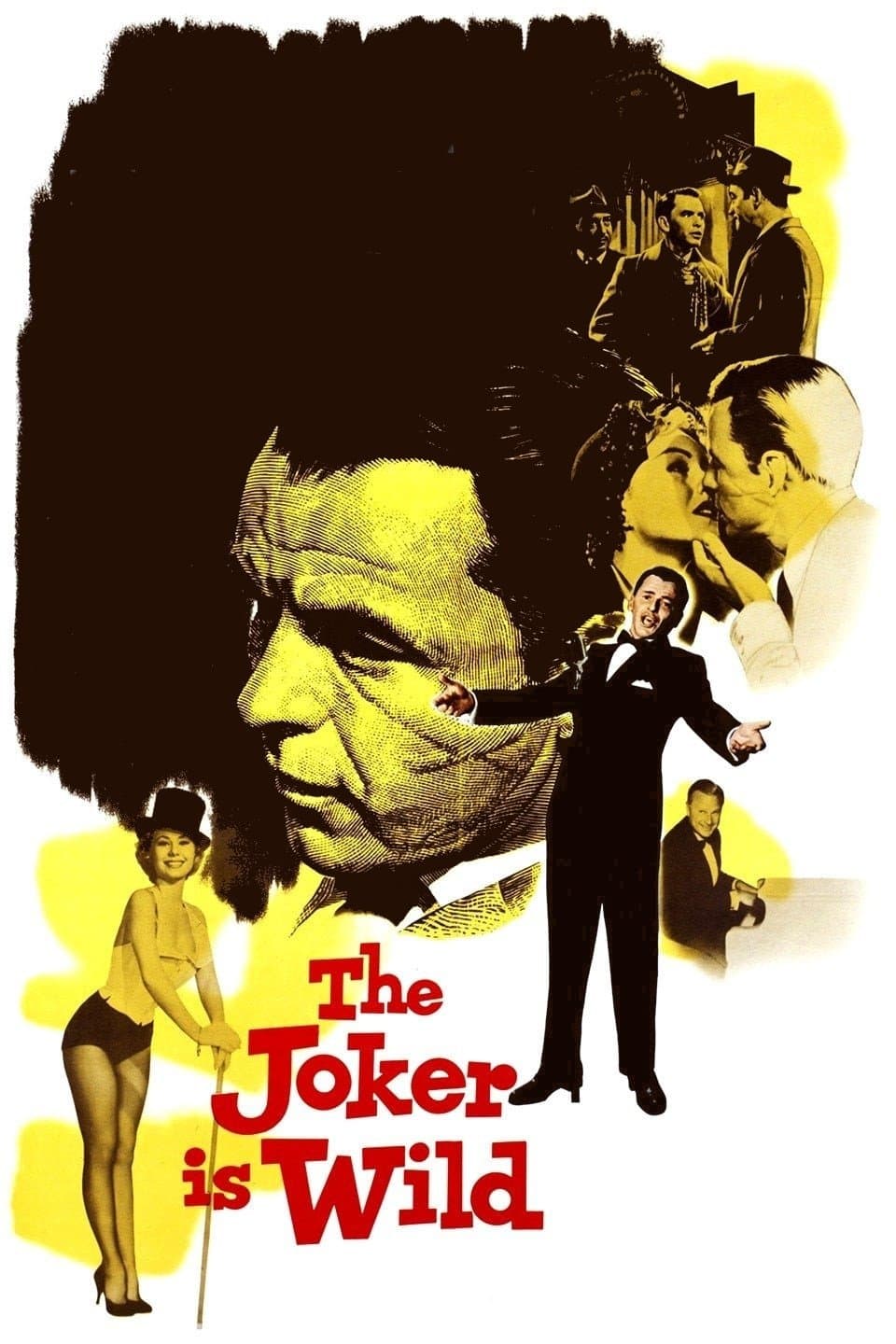 The Joker is Wild photo
