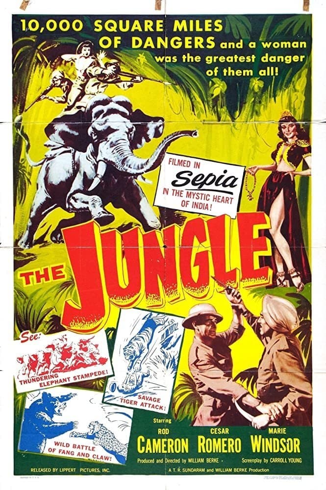 The Jungle photo