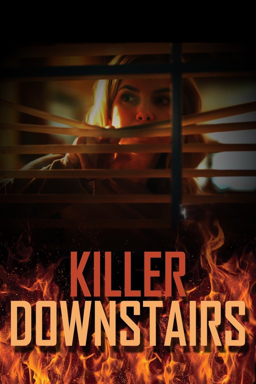 The Killer Downstairs photo