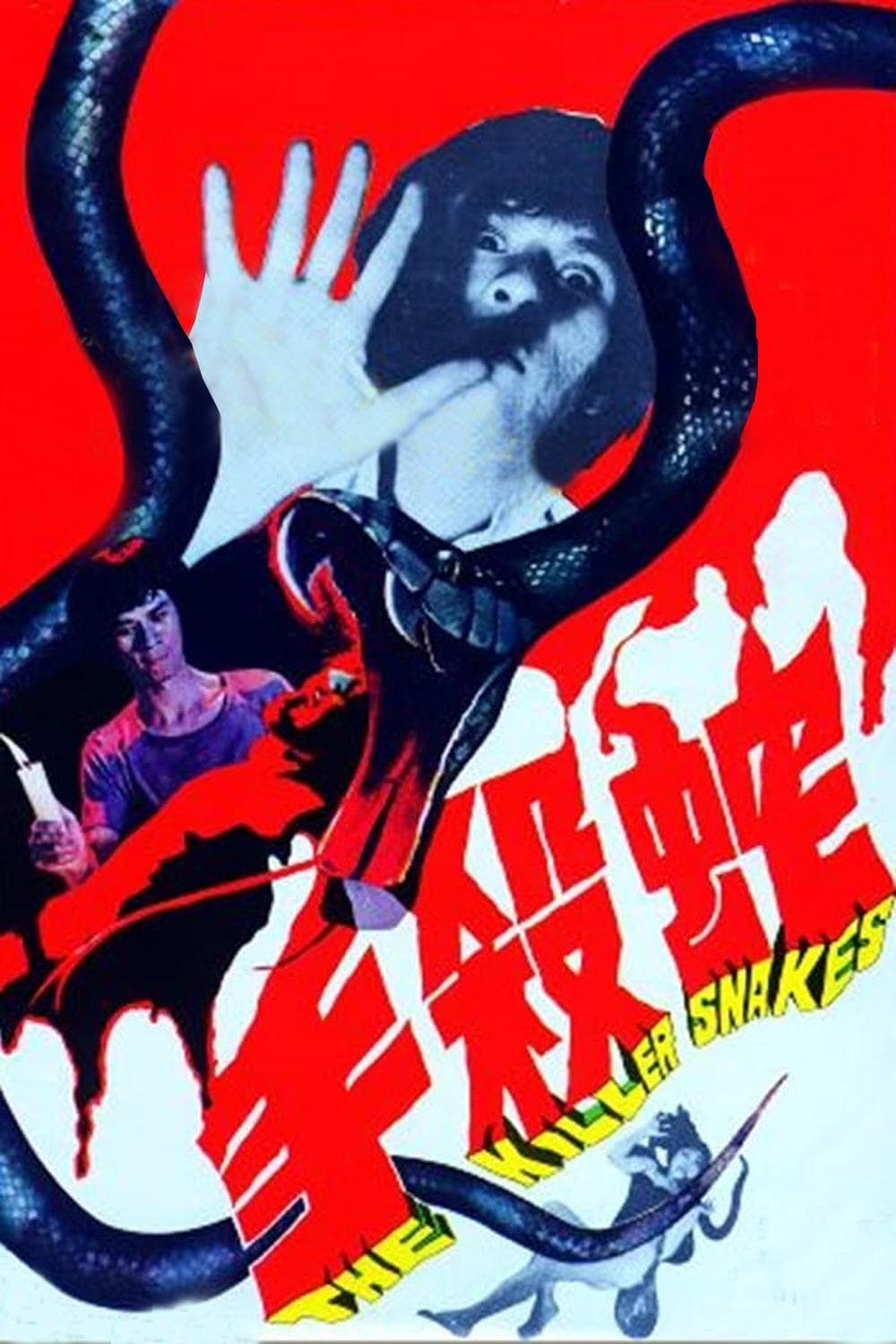 The Killer Snakes photo