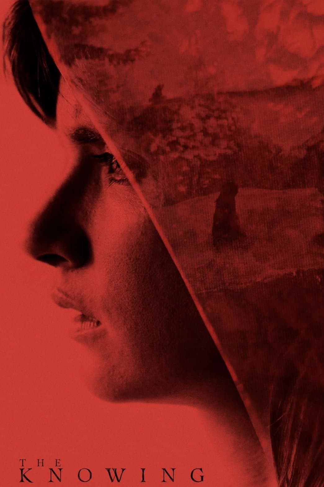 The Knowing photo