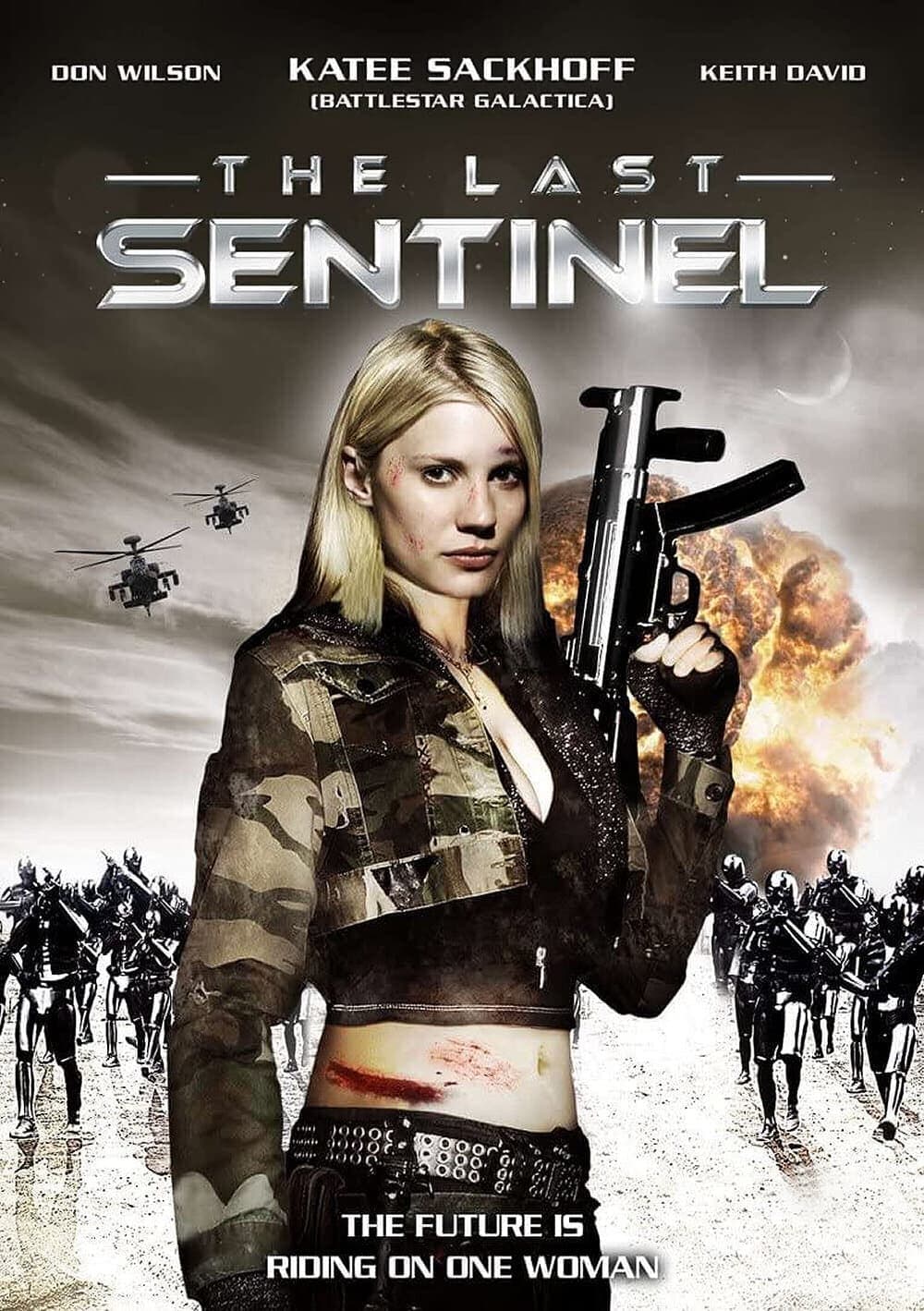 The Last Sentinel photo