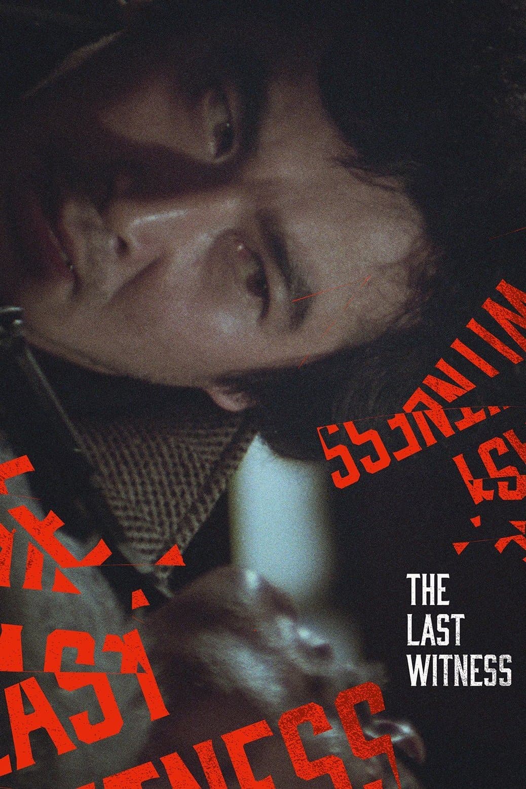 The Last Witness photo