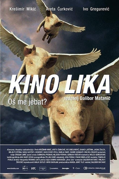 The Lika Cinema photo