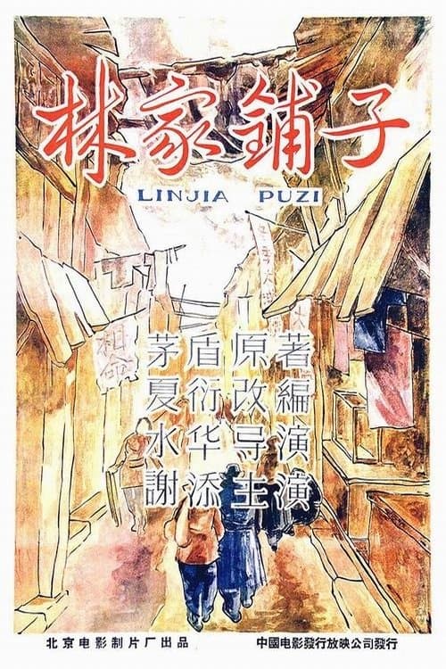 The Lin Family Shop photo