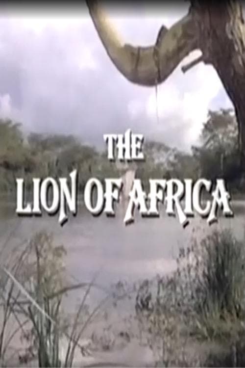 The Lion of Africa photo