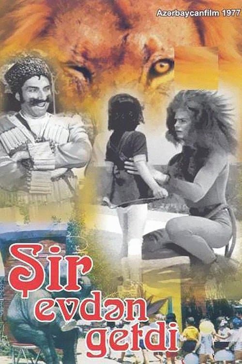 The Lion Ran Away from the House photo