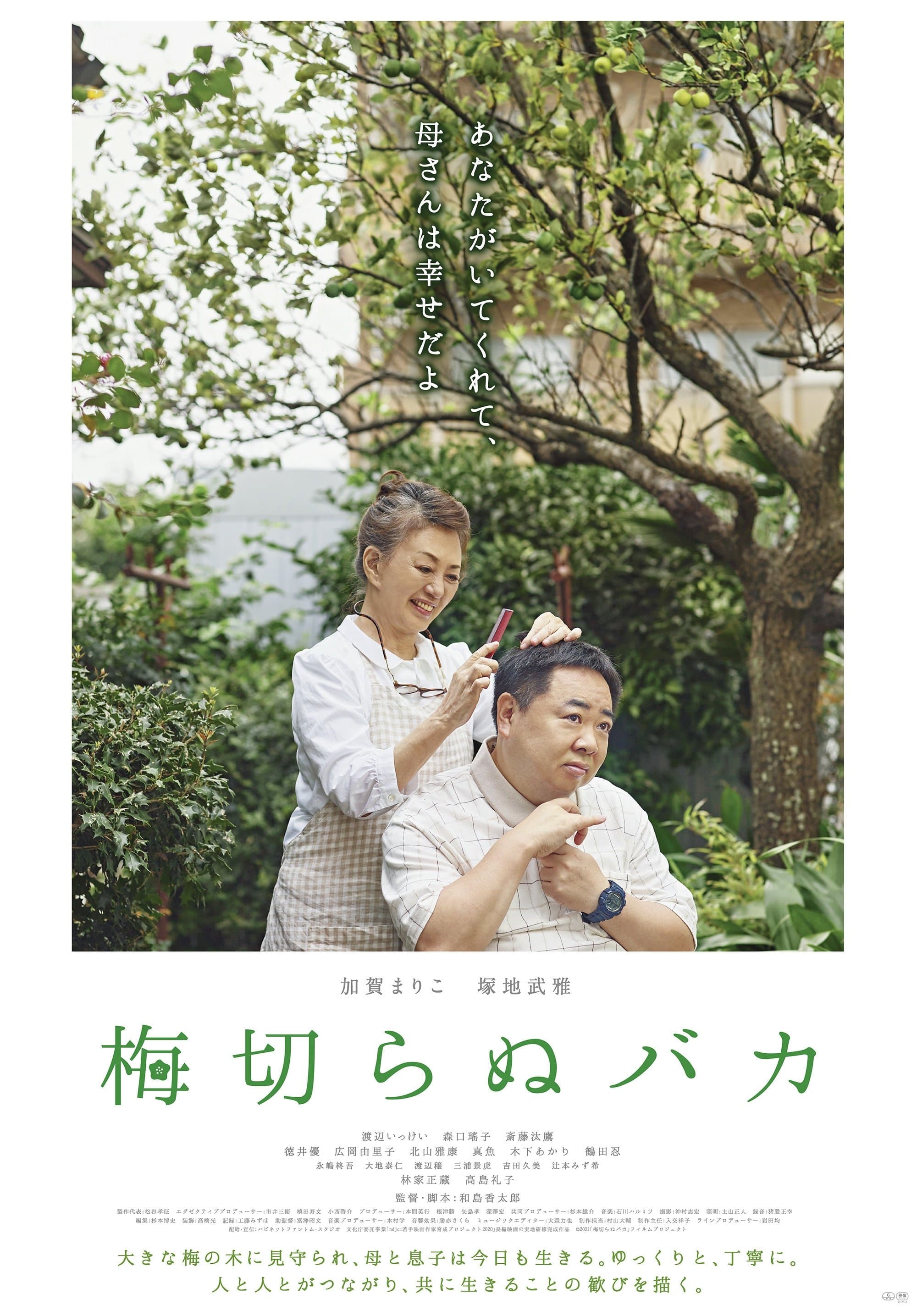 The Lone Ume Tree photo