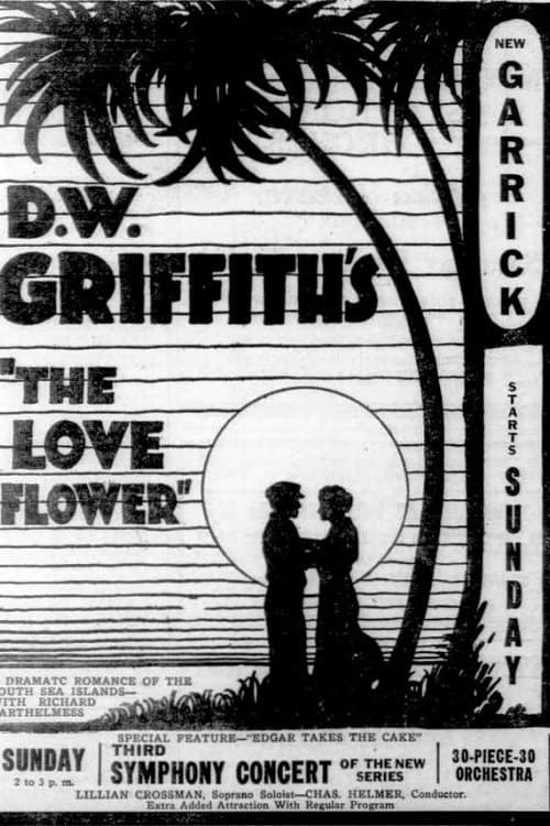 The Love Flower photo