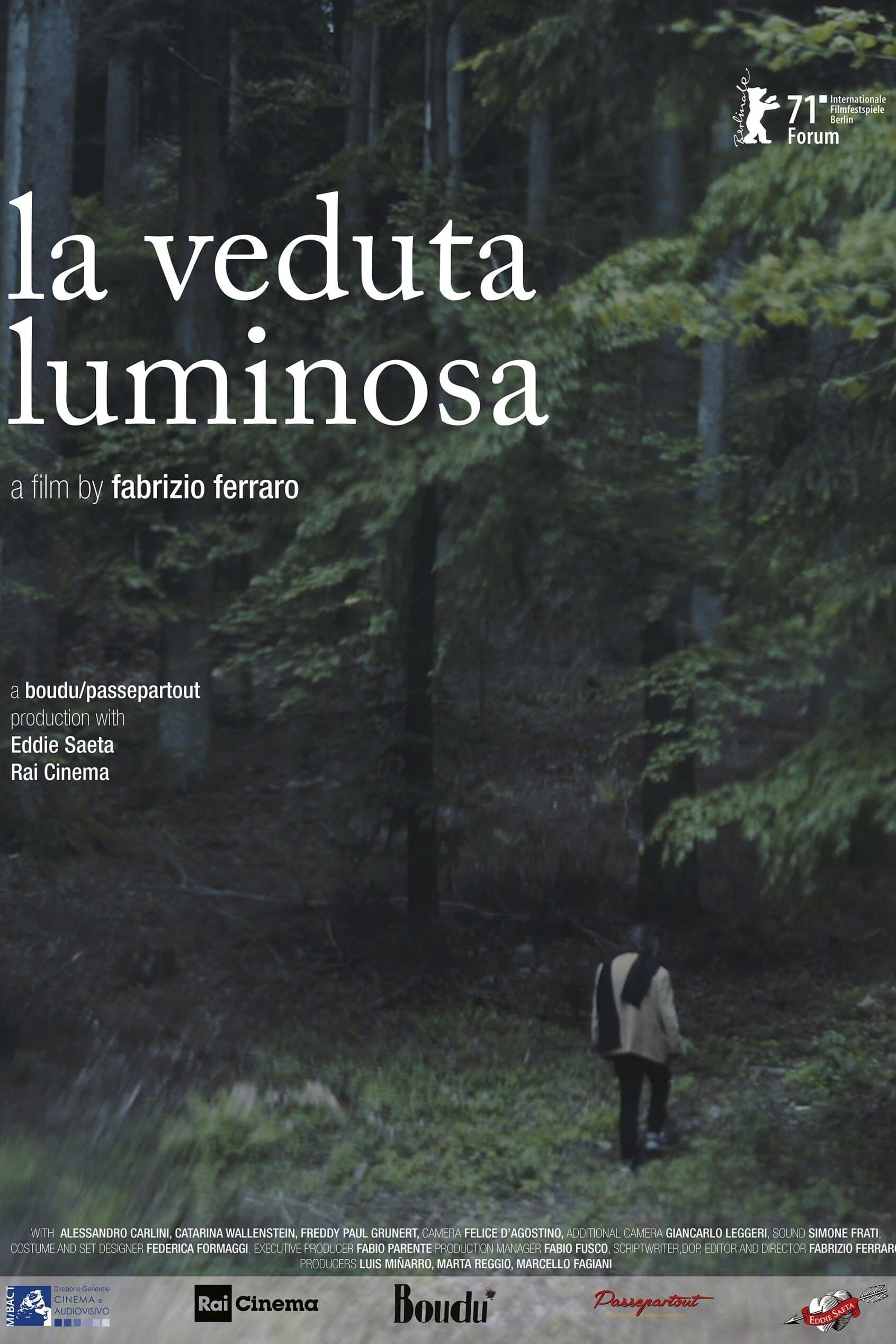 The Luminous View photo
