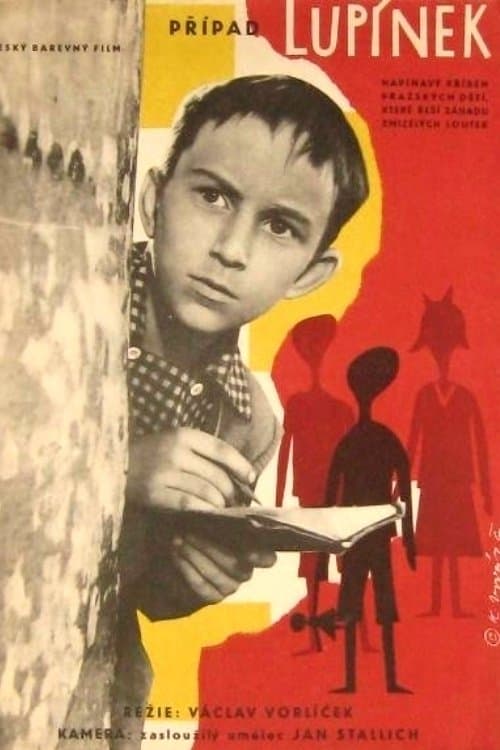 The Lupinek Case photo