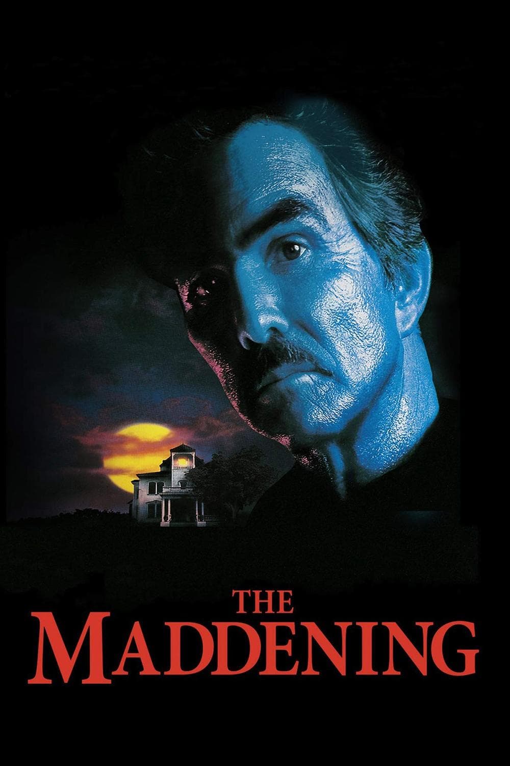 The Maddening photo