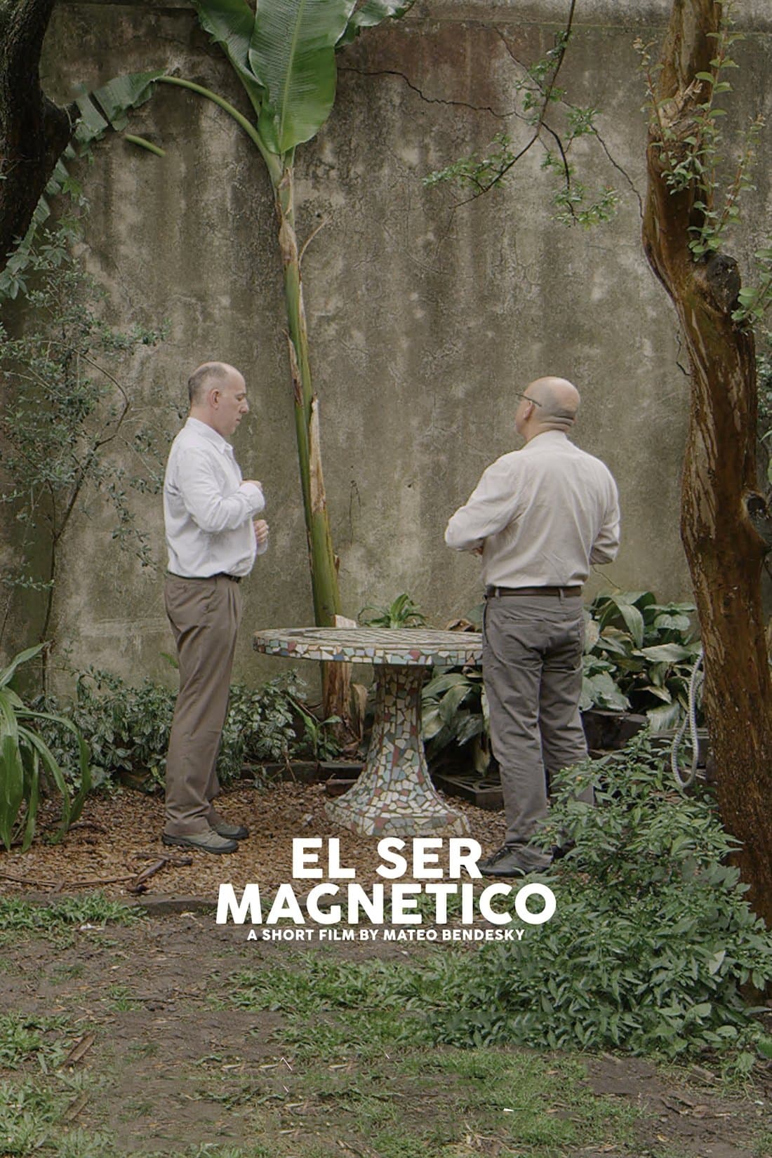 The Magnetic Nature photo