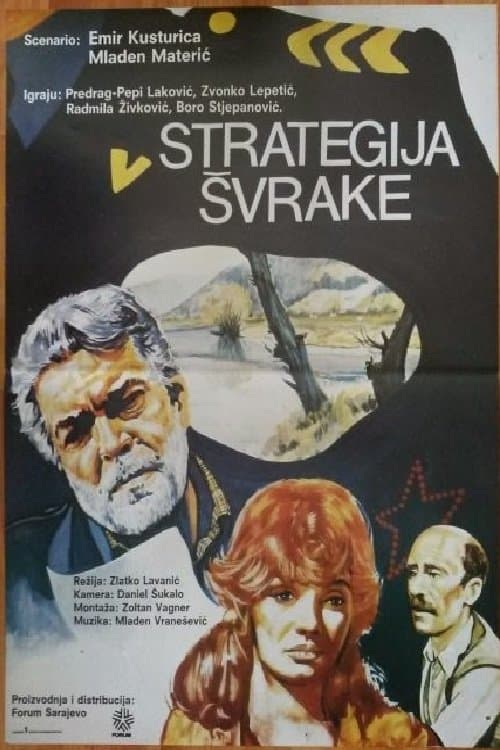 The Magpie Strategy photo