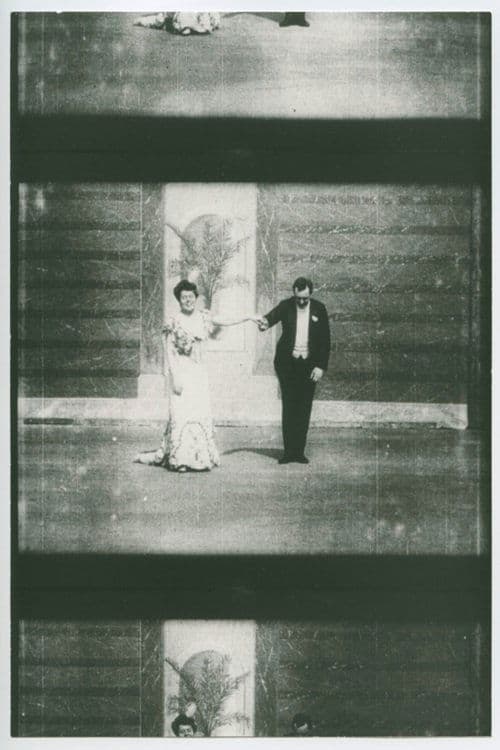 The Merry Widow photo