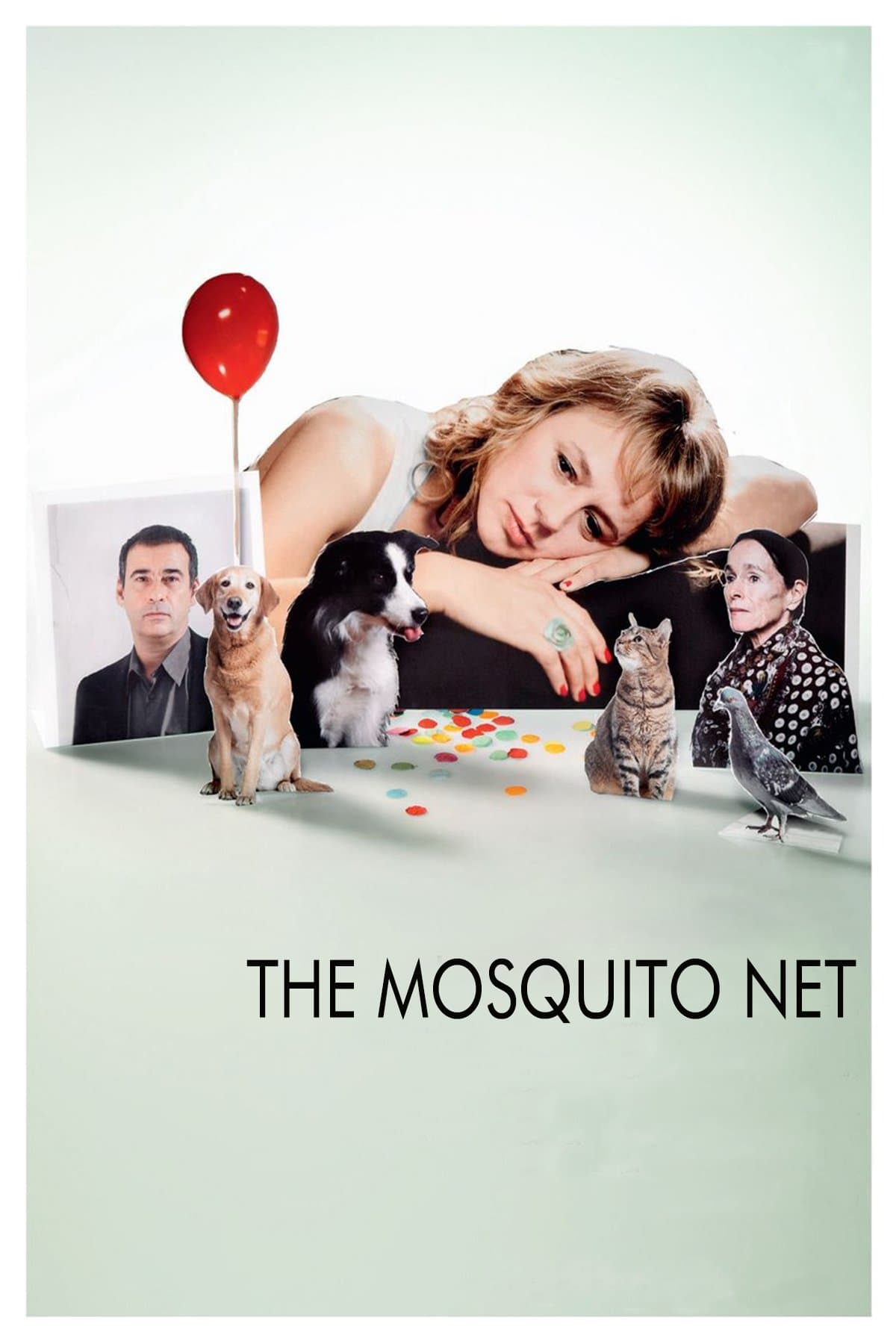The Mosquito Net photo