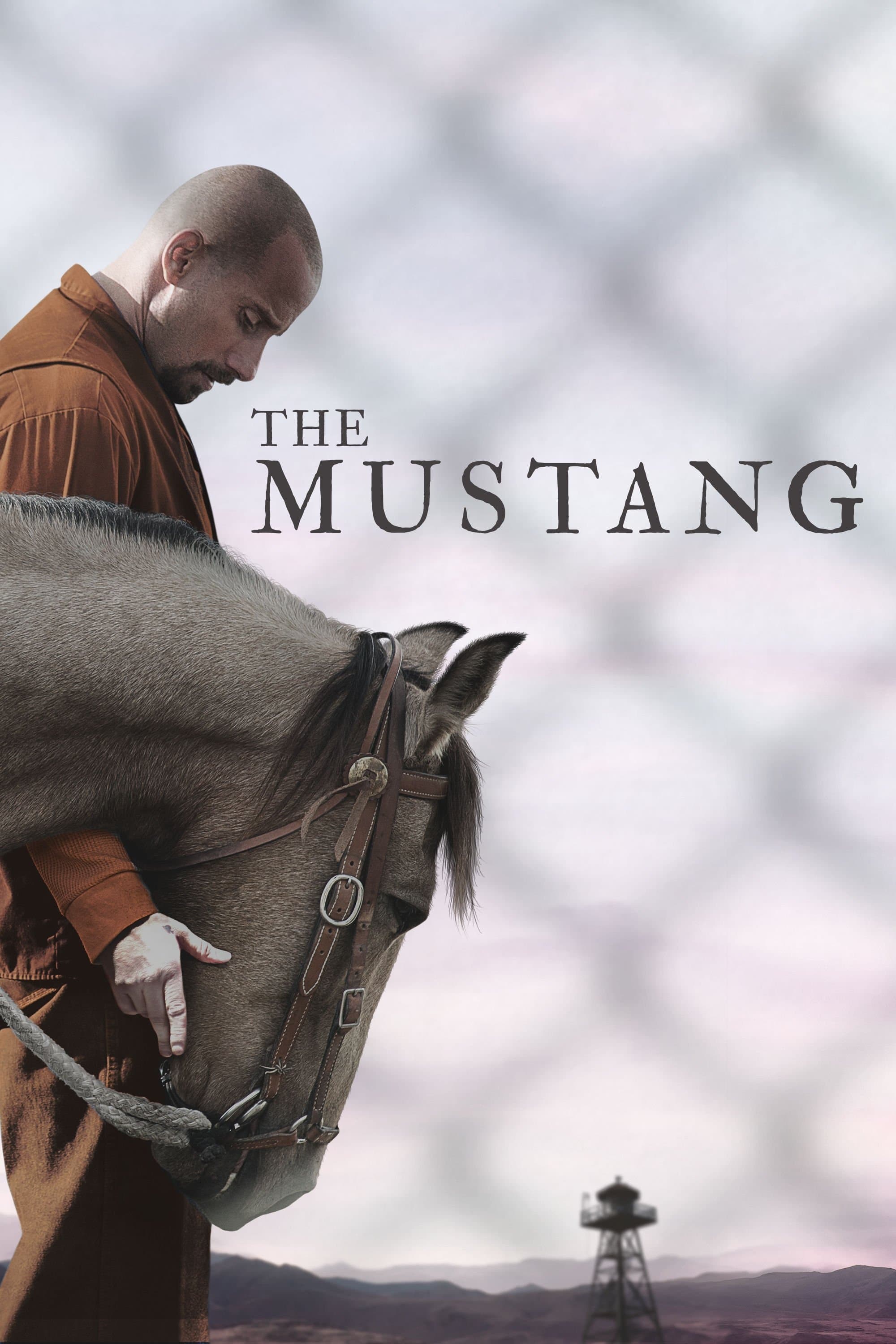 The Mustang photo