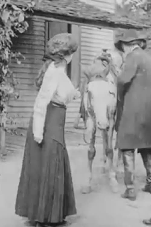 The Mystery of Lonely Gulch photo