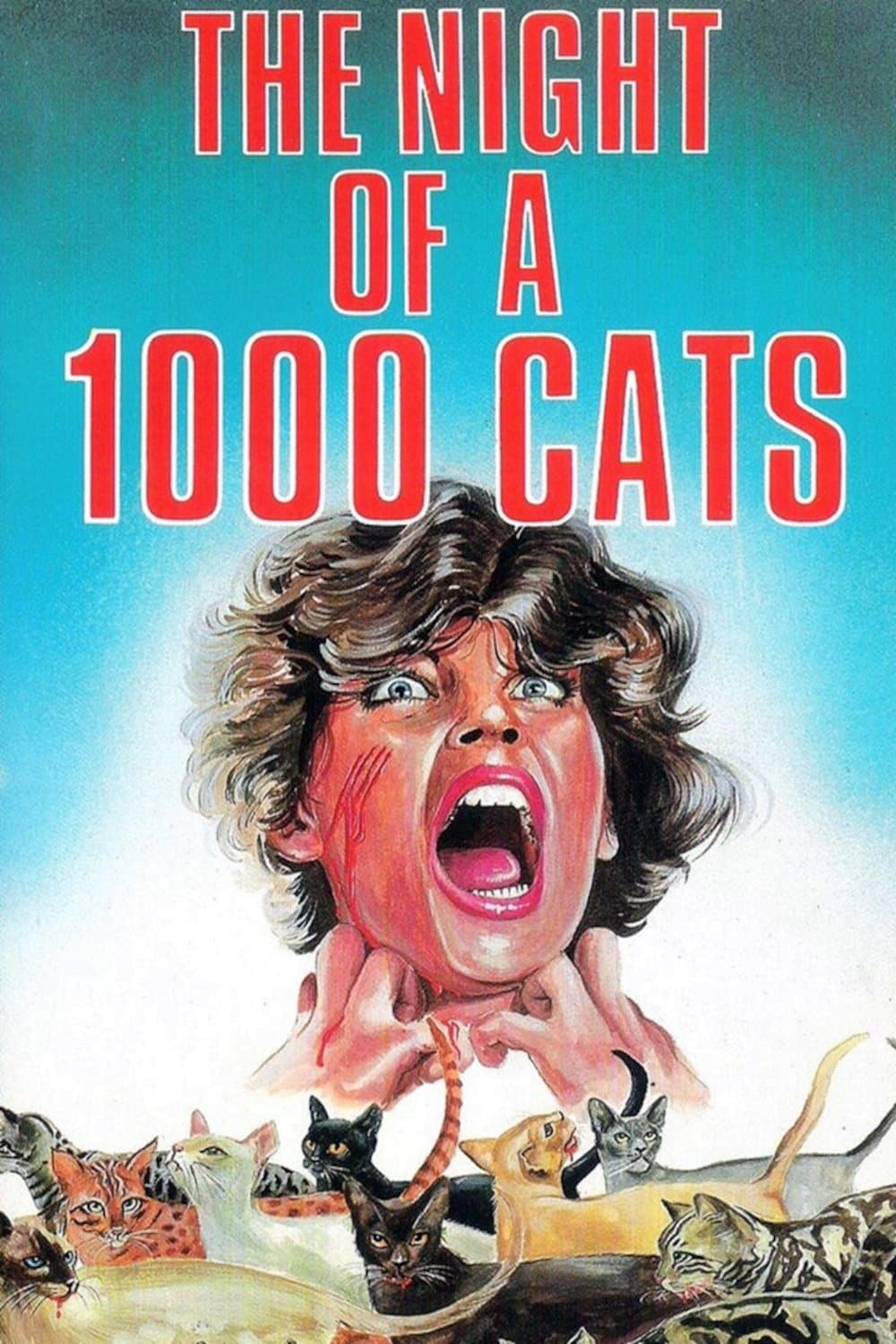 The Night of a Thousand Cats photo